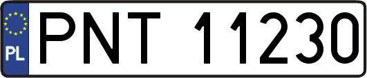 PNT11230