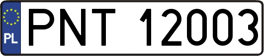 PNT12003