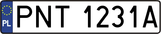 PNT1231A