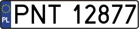 PNT12877