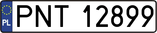 PNT12899