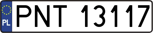 PNT13117