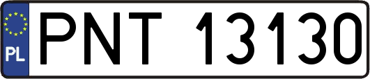 PNT13130