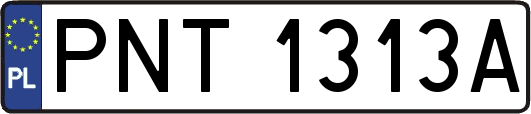PNT1313A