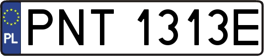 PNT1313E