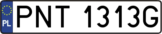PNT1313G