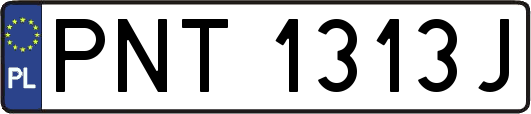 PNT1313J