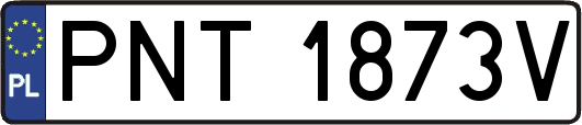 PNT1873V