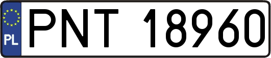 PNT18960