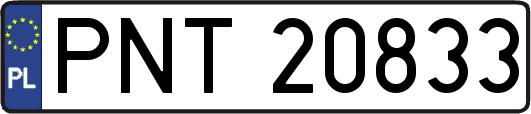 PNT20833