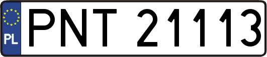 PNT21113