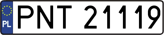 PNT21119