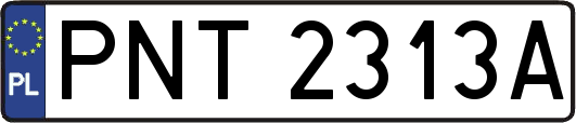 PNT2313A