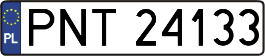 PNT24133