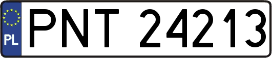 PNT24213