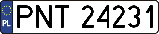 PNT24231