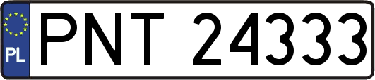 PNT24333