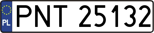 PNT25132