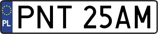 PNT25AM