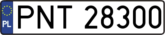 PNT28300
