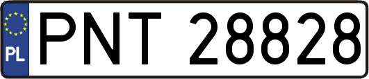 PNT28828