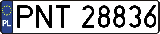 PNT28836