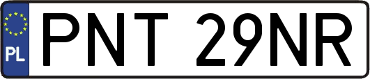 PNT29NR