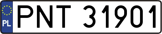 PNT31901