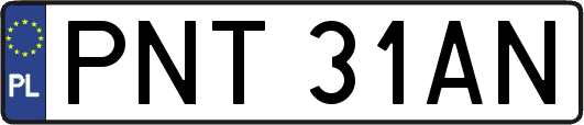 PNT31AN