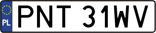 PNT31WV