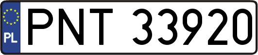 PNT33920