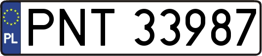 PNT33987