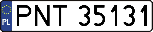 PNT35131