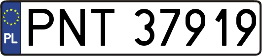 PNT37919