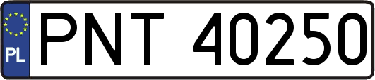 PNT40250