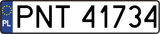 PNT41734