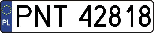 PNT42818