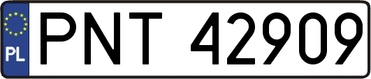 PNT42909