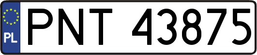 PNT43875