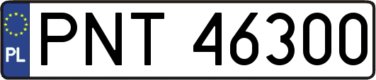 PNT46300