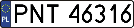 PNT46316
