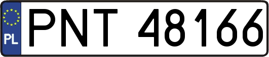 PNT48166
