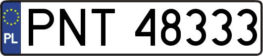 PNT48333