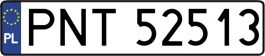 PNT52513