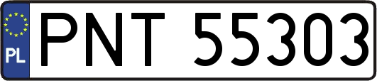 PNT55303