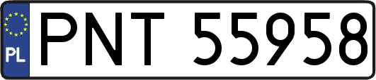 PNT55958