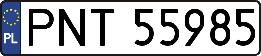 PNT55985