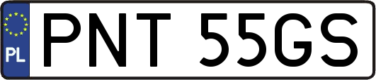 PNT55GS