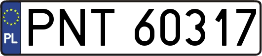 PNT60317