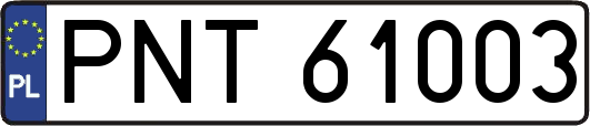 PNT61003